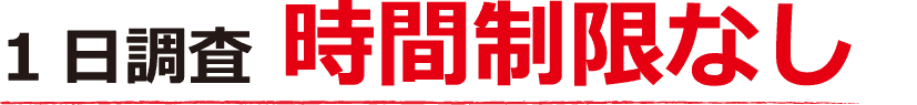1日調査 時間制限なし